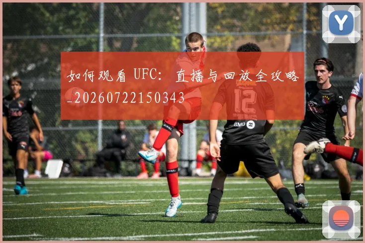如何观看 UFC：直播与回放全攻略_20260722150343