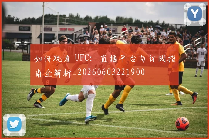如何观看 UFC:直播平台与订阅指南全解析_20260603221900