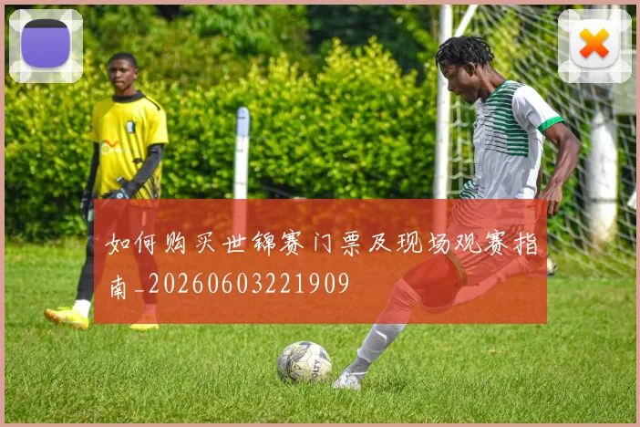 如何购买世锦赛门票及现场观赛指南_20260603221909