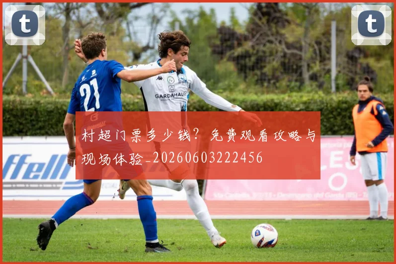 村超门票多少钱？免费观看攻略与现场体验_20260603222456