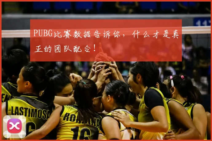 PUBG比赛数据告诉你，什么才是真正的团队配合！